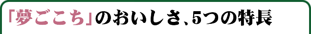 ̂A5̓